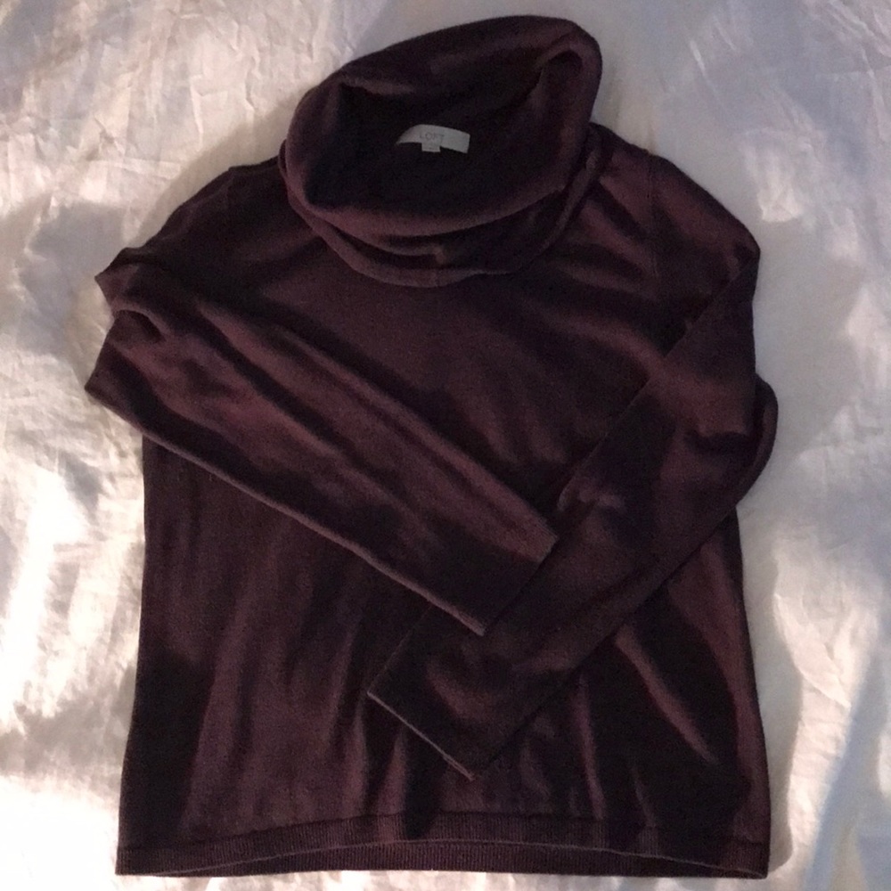 Large turtleneck sweater from The Loft